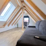 Brandneues Stadtglanz Apartment